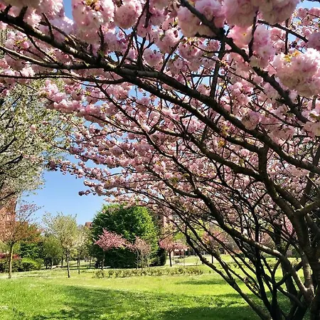 Pacy - Park * San Giuliano Milanese