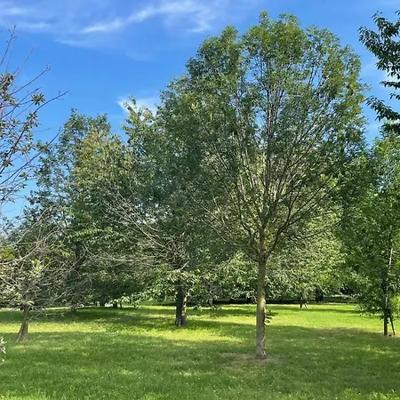 Pacy - Park *